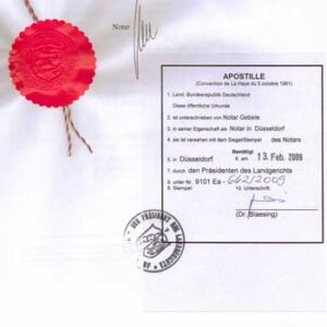 Детальніше про статтю Апостиль та нотаріальне засвідчення під час перекладу документа: у чому різниця?