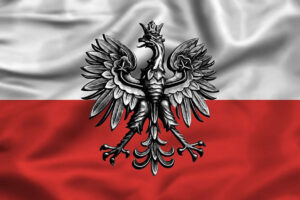 Подробнее о статье Перевод справки о несудимости на польский язык в Киеве