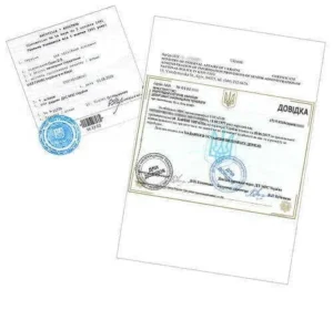 Подробнее о статье Апостиль документов для всех стран: полное руководство по легализации и переводу